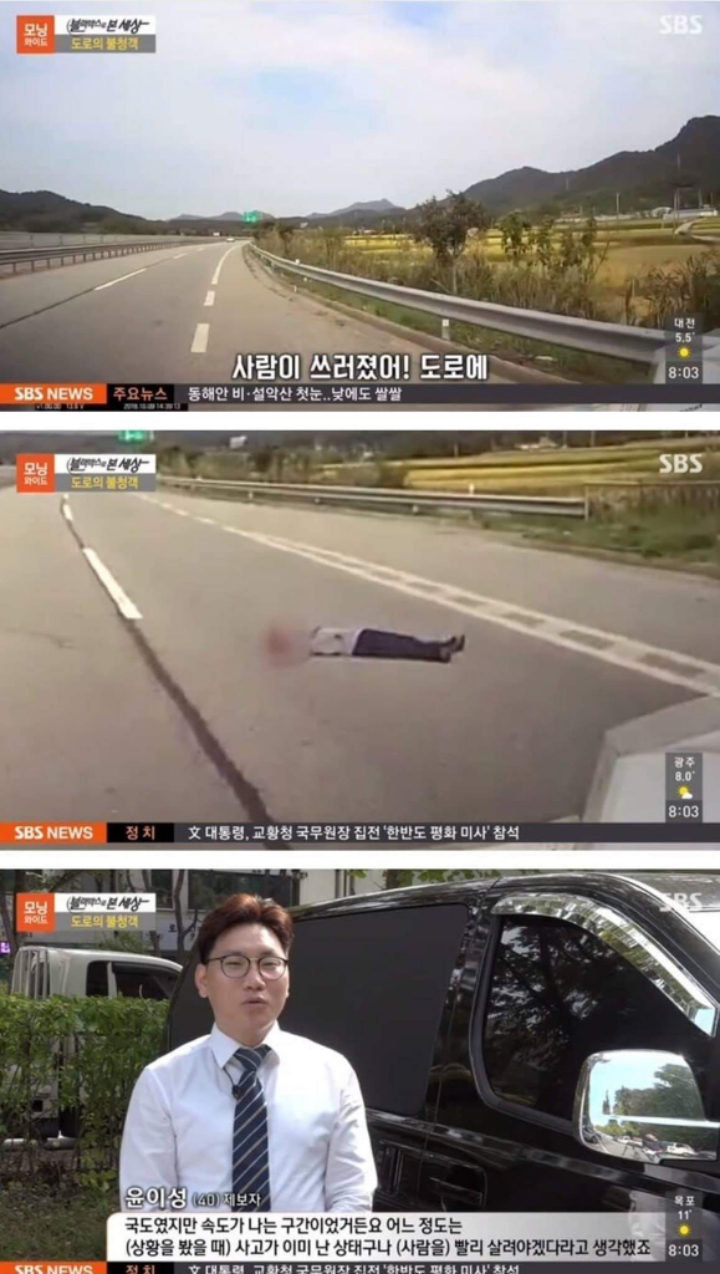 도로의 불청객.jpg | 인스티즈