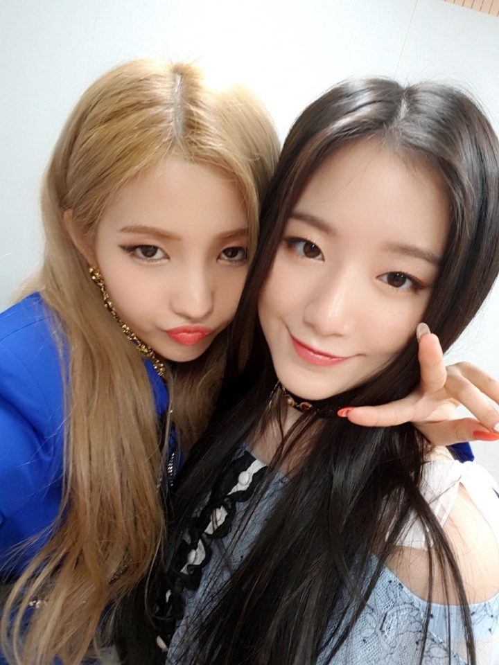 아이옳다 이미지