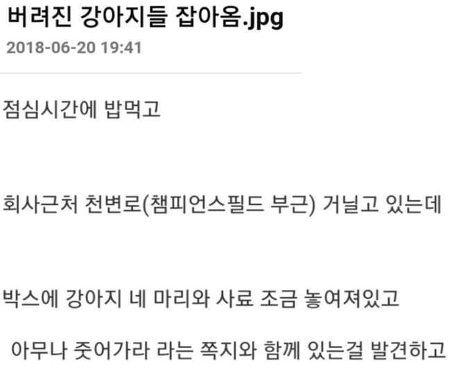 버려진 강아지들 잡아옴.jpg | 인스티즈