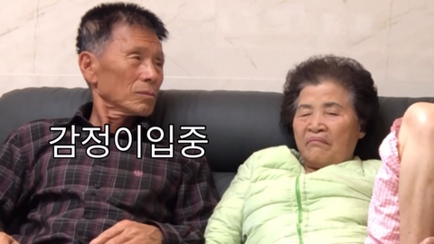 할머니,할아버지께 강아지 키우고 싶다고 해봤더니... | 인스티즈