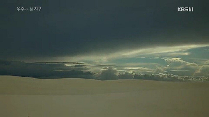 거북이가 사막을 건너는 이유 .jpgif | 인스티즈