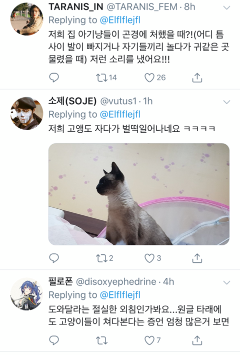 화장실에 간 집사를 구하기 위해 용맹하게 울부짖는 고영 | 인스티즈