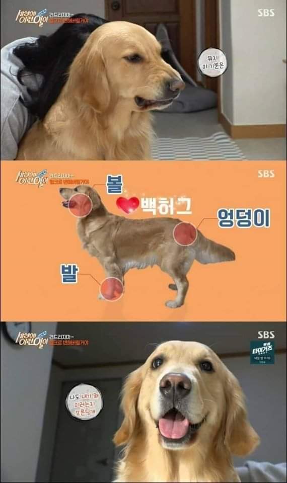 [세상에이런일이] 두 얼굴을 가진 아이 | 인스티즈