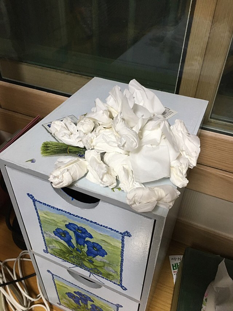 비염 환자들 현 상황..JPG | 인스티즈