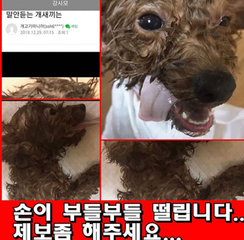 강사모에 올렸다 글삭한 학대범 (사진주의) 아는 사람 제보좀 해주세요 | 인스티즈