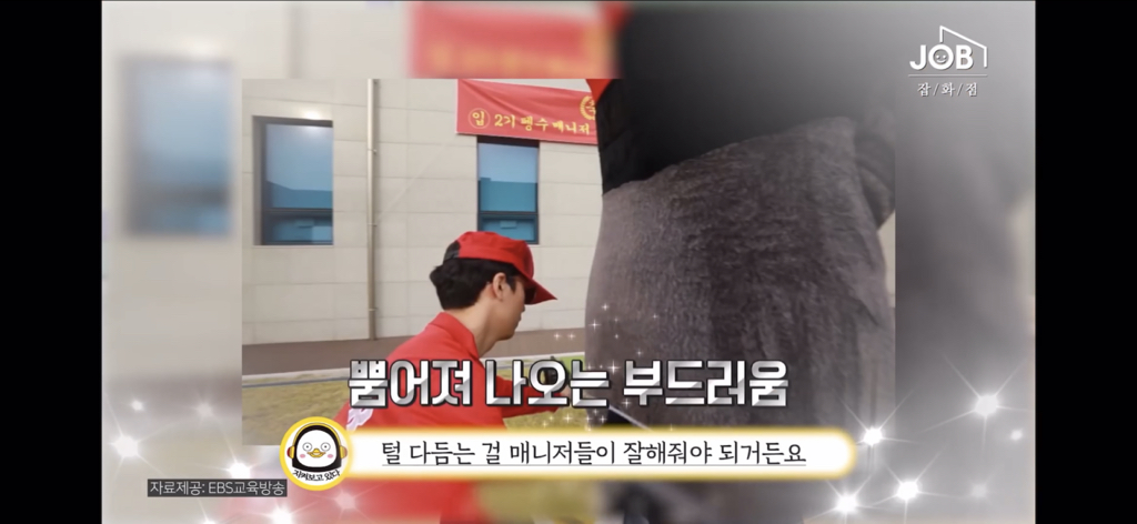 구매현피 박째영이 말하는 펭수가 EBS 오디션을 보기까지 (feat.미친 세계관) | 인스티즈