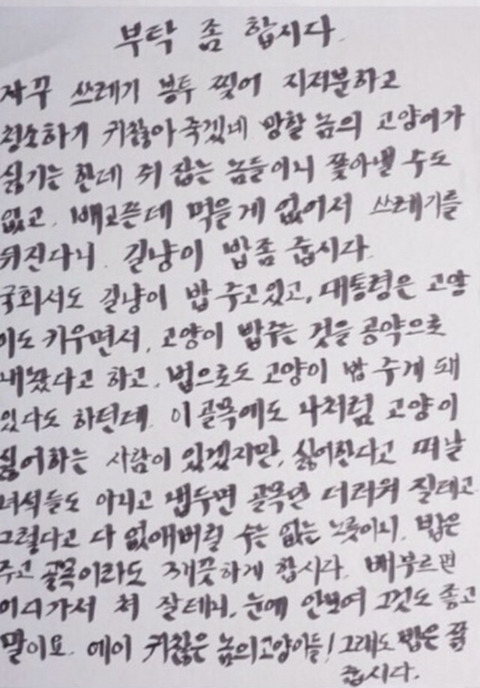 개조심! 이름은 블랙이 | 인스티즈