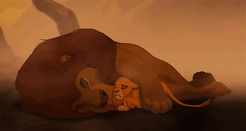 60fa547b9b9ef7ee8b90c0bd114895d9a0f48842