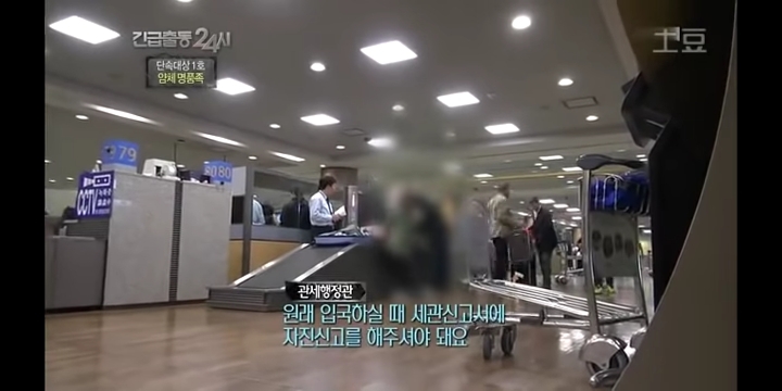 공항 세관 단속에 걸린 사람들.jpg | 인스티즈