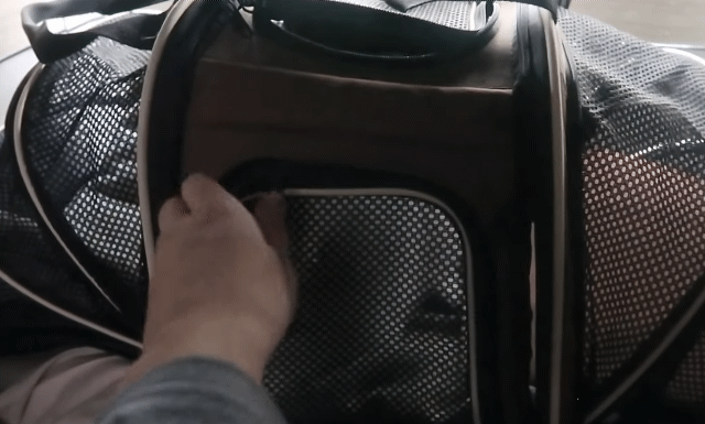 🐶강아지 달리의 비행기 1등석 체험기 .gif | 인스티즈