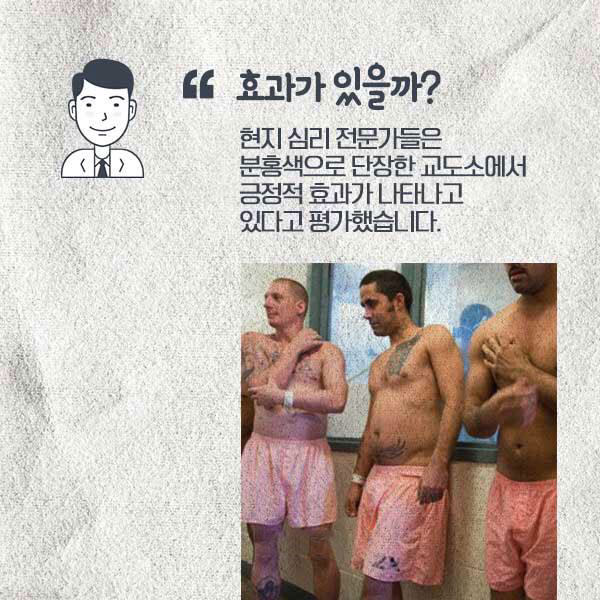부끄러워서 죄짓고 싶지 않다는 스위스 핑크 교도소 | 인스티즈