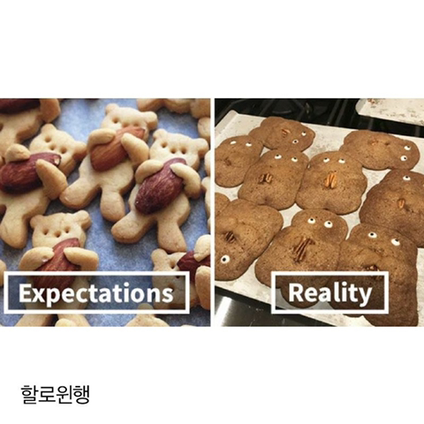 재빵 이미지