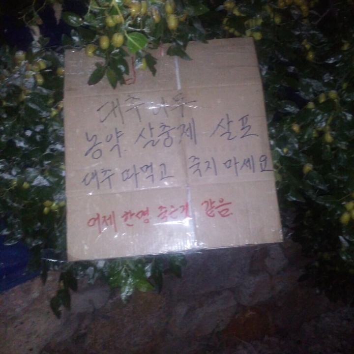 개조심! 이름은 블랙이 | 인스티즈