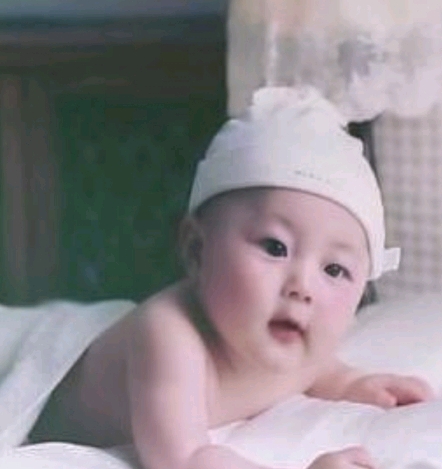 연예인 갓난이 시절 | 인스티즈