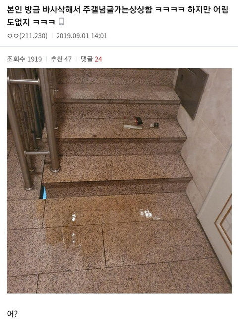 진갤러리 이미지