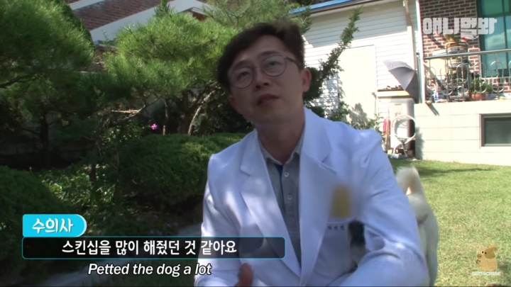 그알 갈색푸들보다 친화력 오지는 뻔순이 | 인스티즈