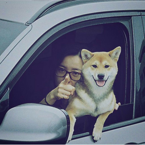 70a149aa496e71302d484904044c257c6a357833