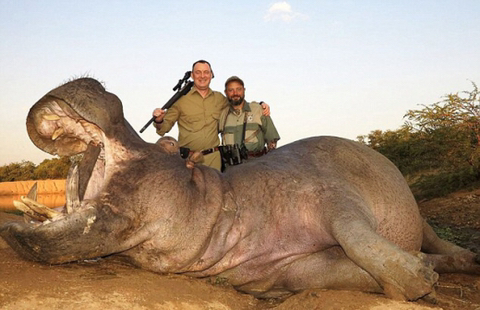 미국인들이 즐기는 불법같지만 합법적인 취미 중 하나 | 인스티즈