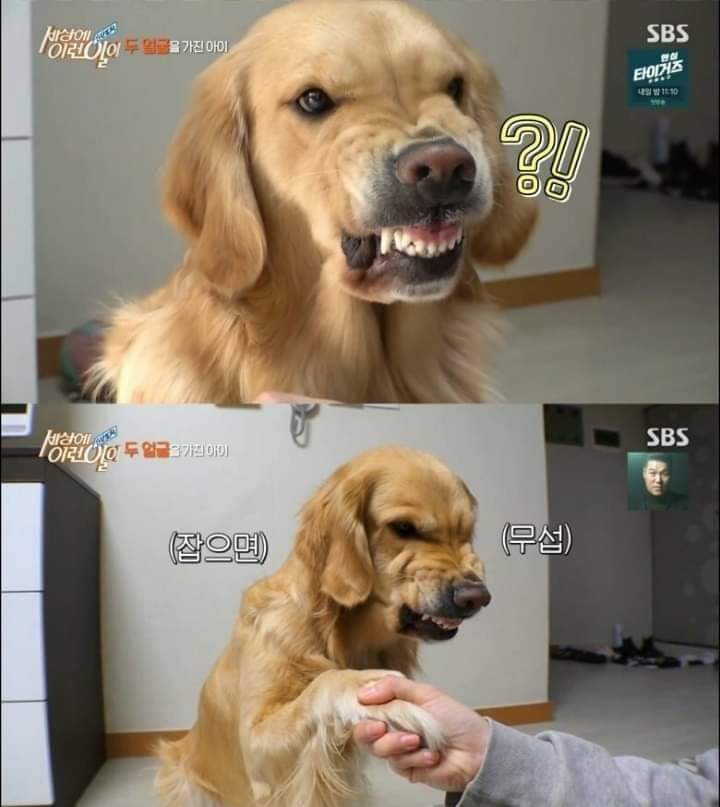 [세상에이런일이] 두 얼굴을 가진 아이 | 인스티즈