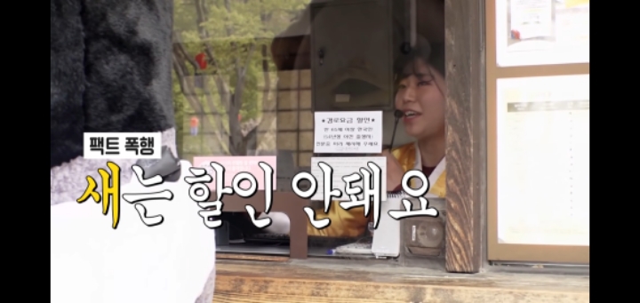 펭수가 한국민속촌에 가면 입장료는 얼마를 내야할까? | 인스티즈