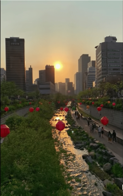 두바이 왕자(만수르 처남)가 공식 계정에 직접 올린 한국 동영상....... | 인스티즈