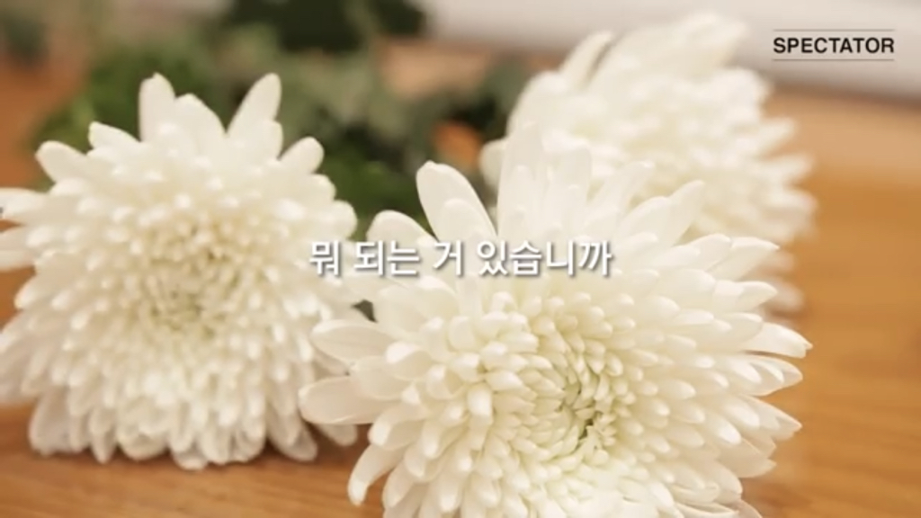 장례식에 검은 옷 대신 예쁜 옷을 입어 달라고 하셨더군요 | 인스티즈
