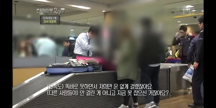 공항 세관 단속에 걸린 사람들.jpg | 인스티즈