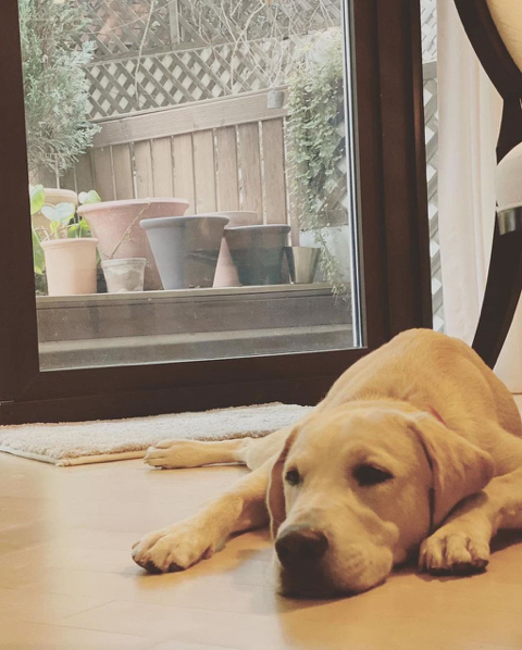 7912de3f7127dcaf3e6fd6e7c47f3c99b4180f09