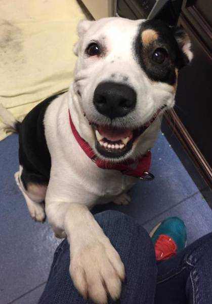 갱얼쓰와 반려인의 첫만남을 남긴 사진들 | 인스티즈