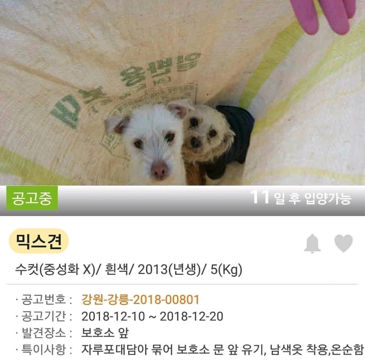 문앞에 꿈틀거리는 포대자루가 놓여있어서 열어봤더니.. | 인스티즈
