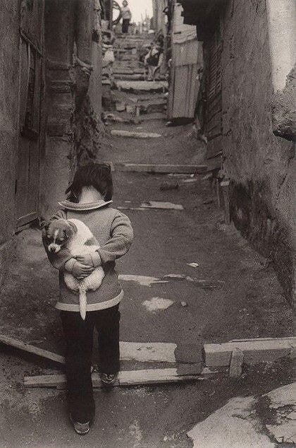 7e251ce1ff95dbbeb615dc8765377e00e6e158c1