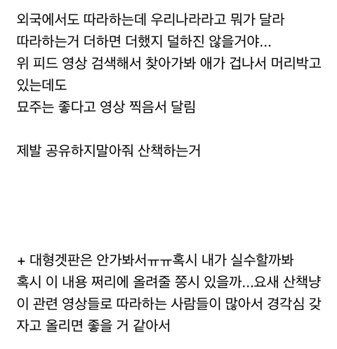 위험성을 고지하지않은 산책냥이 sns공유 및 유튜브 컨텐츠가 위험한 이유 | 인스티즈