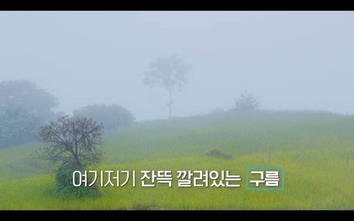 "운이 뭐, 이승기씨 운이 워낙 유명하잖아요" 자연을 미션으로 줘버리는 PD | 인스티즈