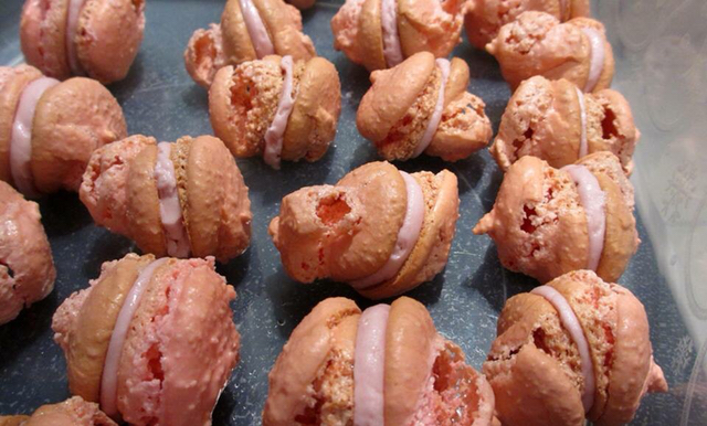 망한 마카롱 대회 | 인스티즈