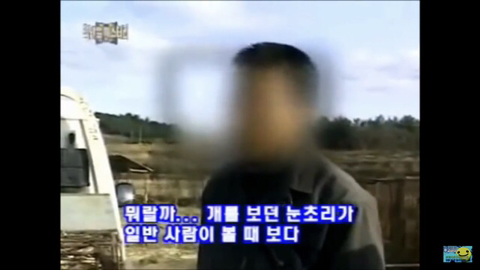 개장수만 보면 본능적으로 똥오줌 지리는 개들 | 인스티즈