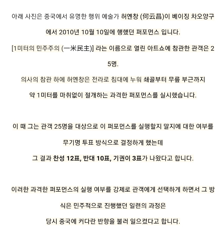 1미터의 민주주의 (사진주의) | 인스티즈