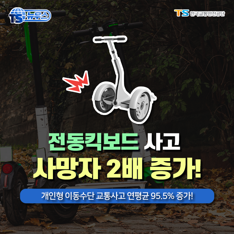 전동킥보드 사고 장면 + 이제 늘어날 수 밖에 없는 이유 | 인스티즈