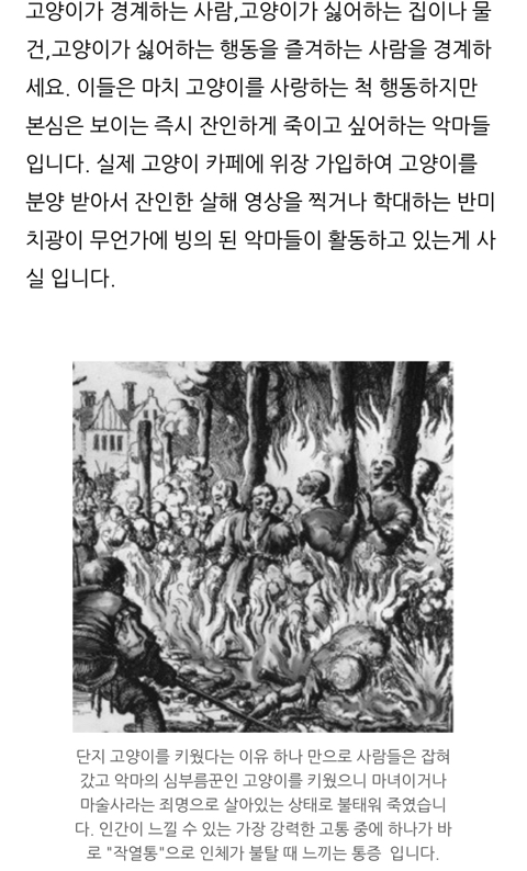 귀신 악령이 가장 싫어하는 고양이 | 인스티즈