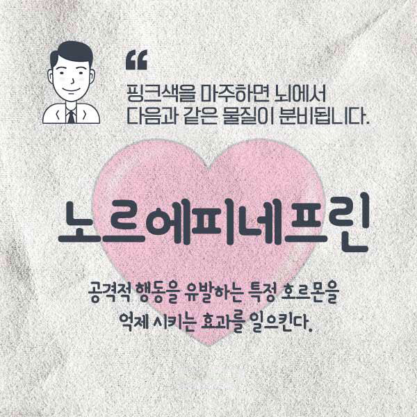 부끄러워서 죄짓고 싶지 않다는 스위스 핑크 교도소 | 인스티즈