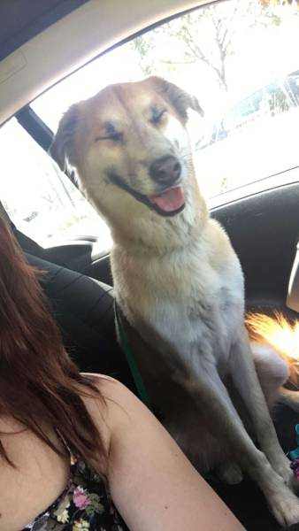 갱얼쓰와 반려인의 첫만남을 남긴 사진들 | 인스티즈