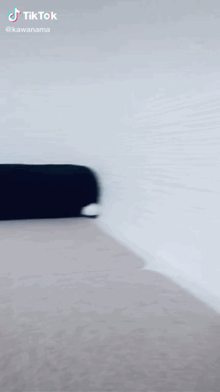 틱톡 어쩌다 화보.gif | 인스티즈