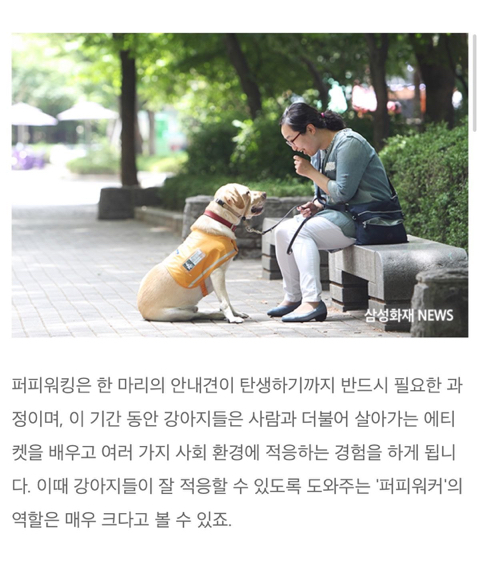 906622b59297a5aa3b0626cfdc7493af46012dab