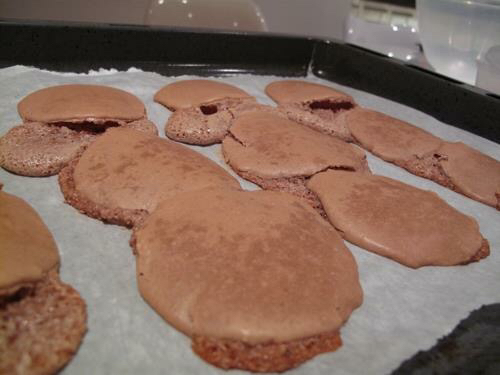 망한 마카롱 대회 | 인스티즈