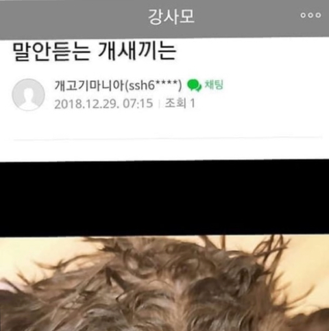 강사모에 올렸다 글삭한 학대범 (사진주의) 아는 사람 제보좀 해주세요 | 인스티즈