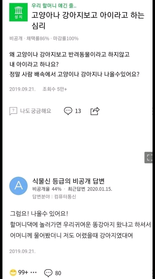 왜 고양이나 강아지한테 내 아이라고 하는거에요?? | 인스티즈