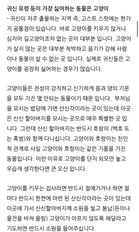 귀신 악령이 가장 싫어하는 고양이 | 인스티즈