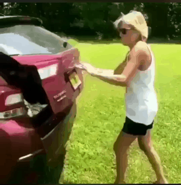 물놀이하는 댕댕이들.GIF | 인스티즈