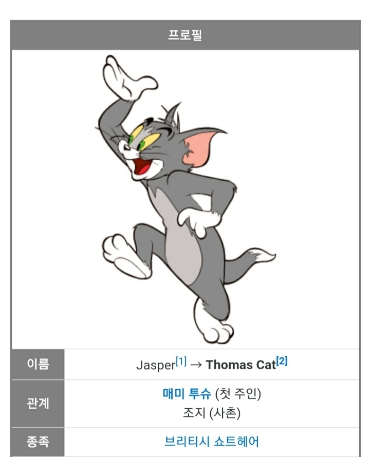 톰과제리 이미지