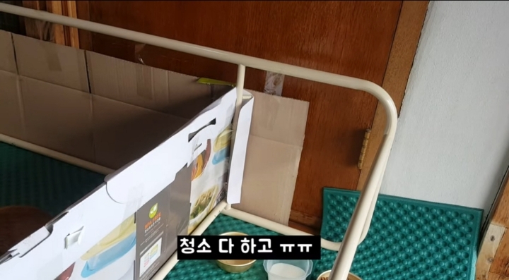 어머냥이 눈치보면서 냥이집 청소하는 아저씨ㅋㅋㅋ.jpg | 인스티즈