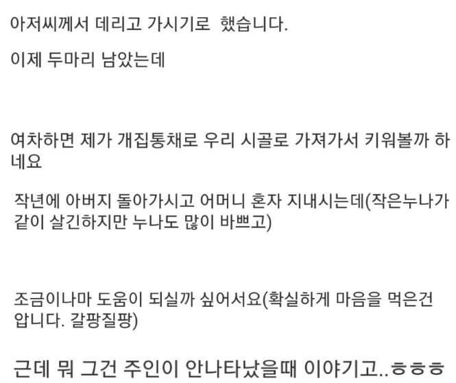 버려진 강아지들 잡아옴.jpg | 인스티즈